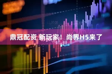 鼎冠配资 新玩家！尚界H5来了
