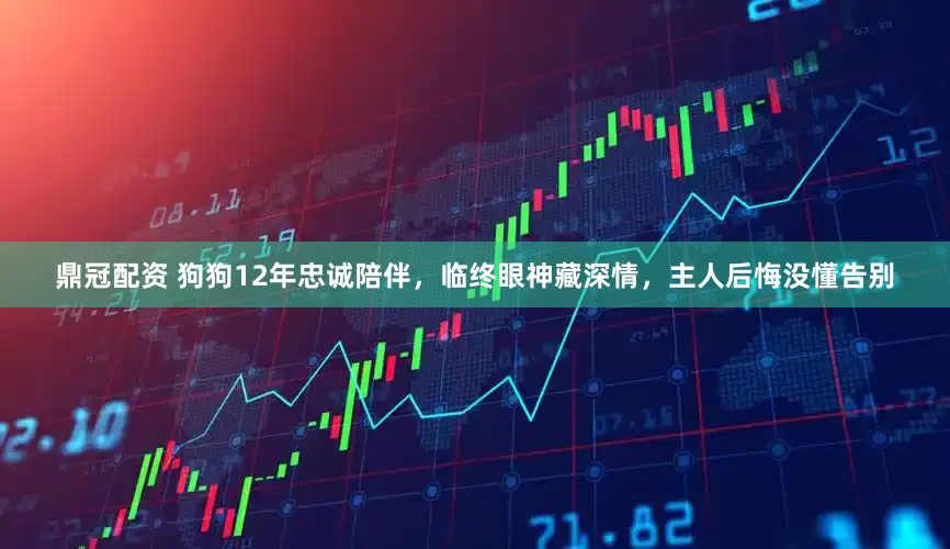 鼎冠配资 狗狗12年忠诚陪伴，临终眼神藏深情，主人后悔没懂告别