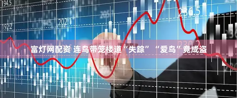 富灯网配资 连鸟带笼楼道“失踪” “爱鸟”竟成盗